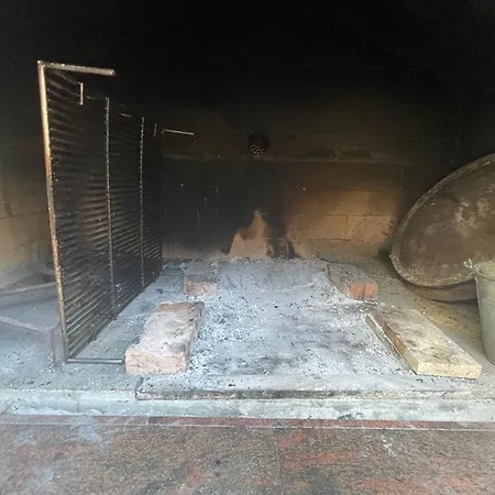 Antonija 로고즈니차